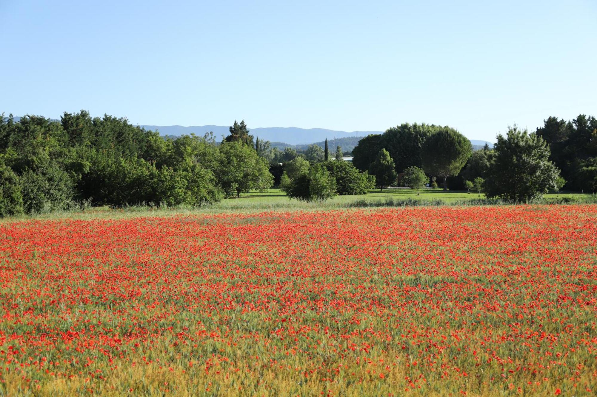 La Bastide Au Coeur De La Provence * Pertuis